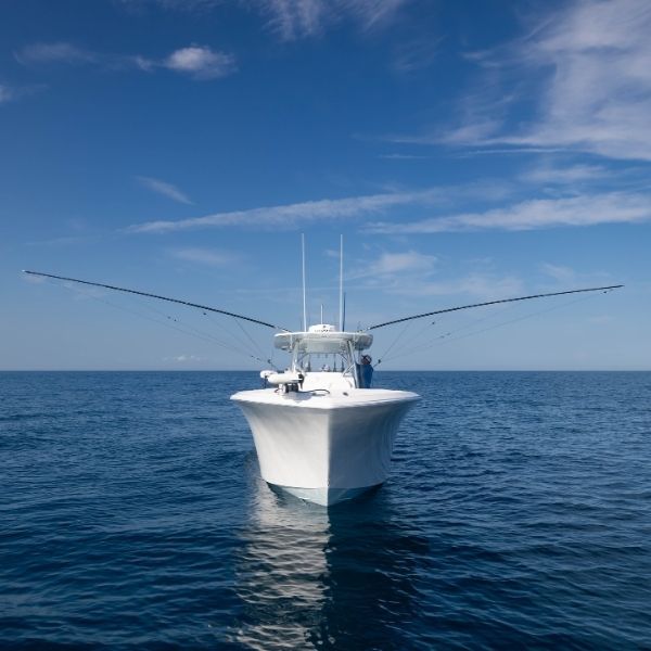 TACO Marine Sport Fishing